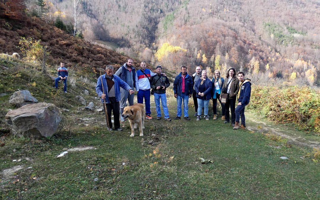Macedón körút 2018.