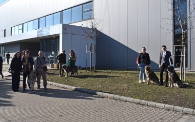 Sarplaninacok a Fehova Winterdogshow-n